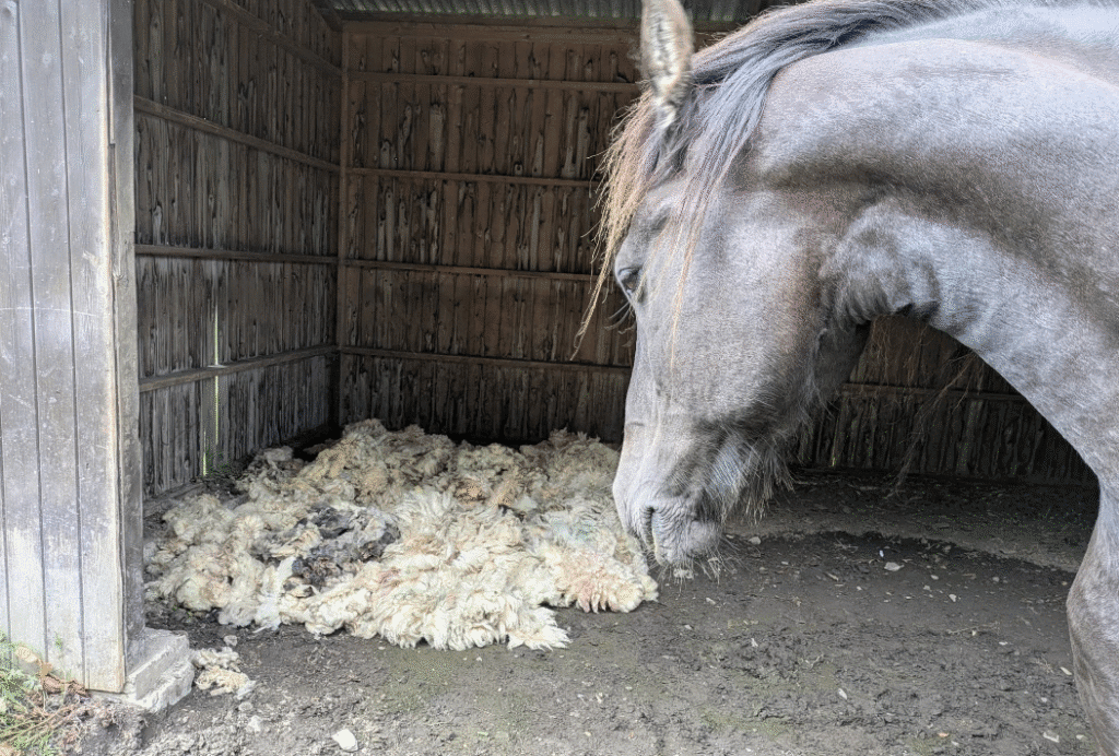 Kiri Cottage Donated Fleeces 1