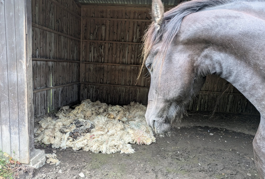 Kiri Cottage Donated Fleeces 1