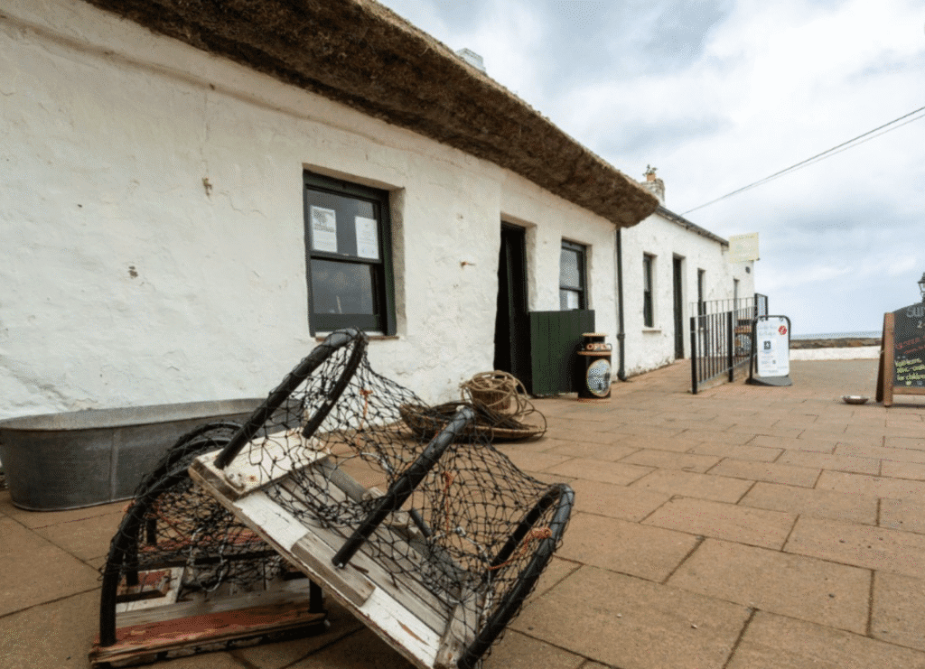 Kiri Cottage Cockle Row 1