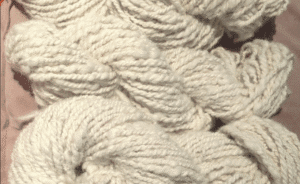Kiri Cottage Bichon Freise Commission 4