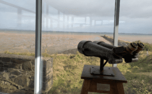 Kiri Cottage View From The Office 1