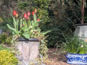 Kiri Cottage Walled Garden 2