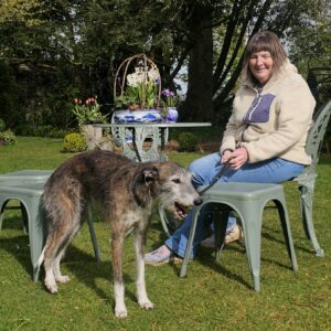 Kiri Cottage Walled Garden 3