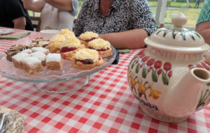 Kiri Cottage Walled Garden 1